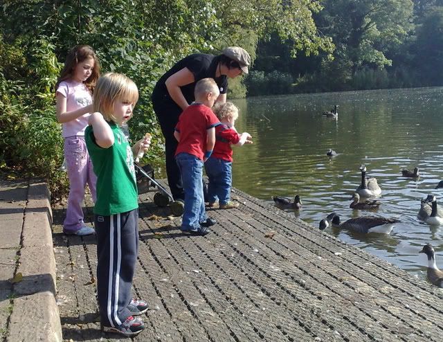 Feeding The Ducks