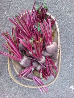 Home Grown Beetroot