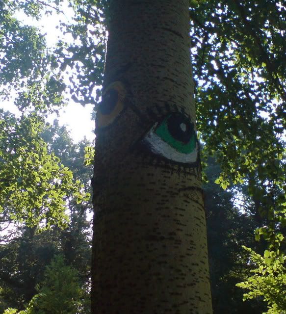 The Trees Have Eyes