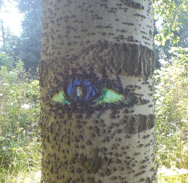 Blue Eyed Tree