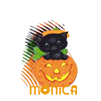  photo MONICA.gif