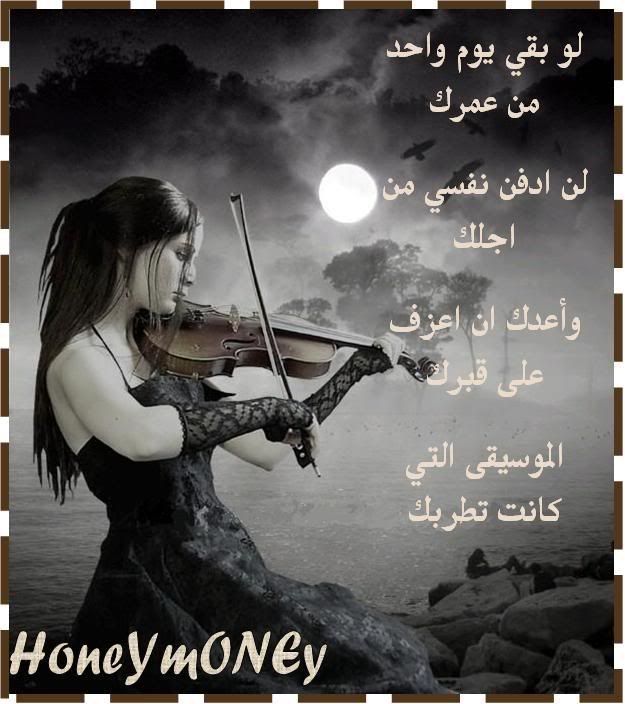 ������ ���� ������ �� ���� ������