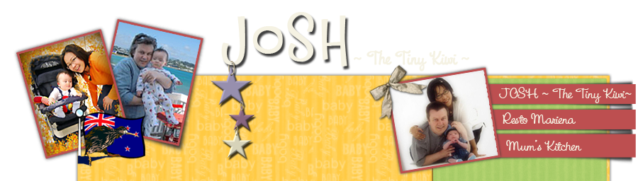 josh - the tiny kiwi