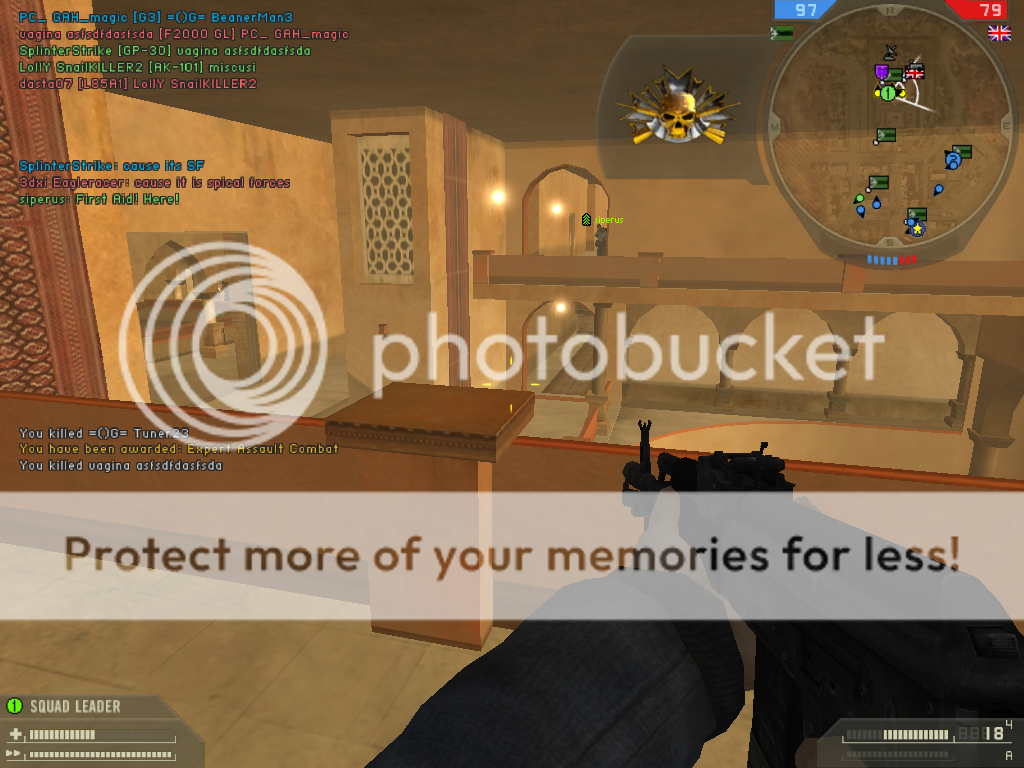 https://i165.photobucket.com/albums/u47/SplinterStrike/BF2%20Screenshots/screen019-2.png