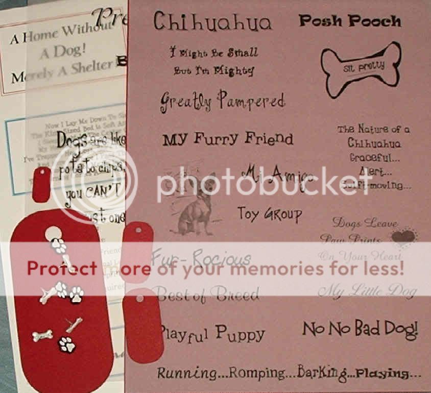 premade pages of vellum and cardstock words and sayings