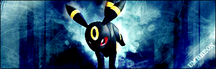 [PokeCommunity.com] Ooka's Banner Shop