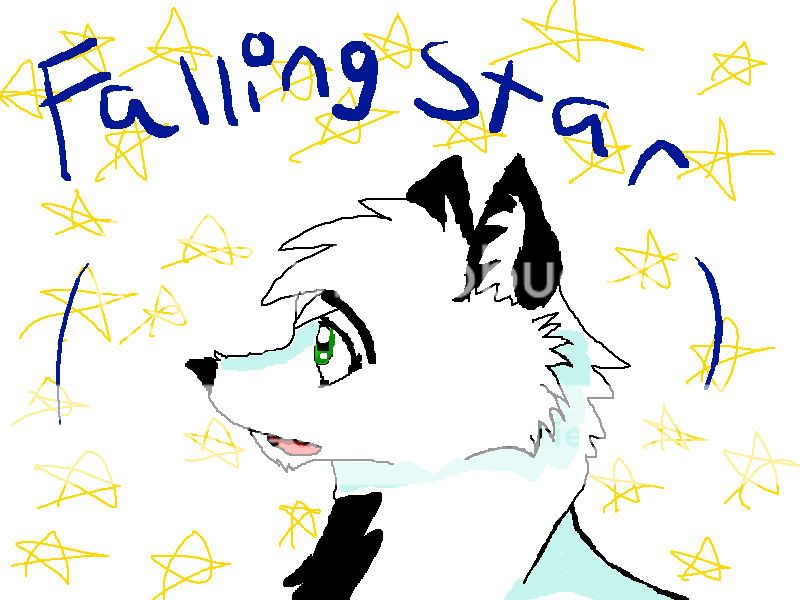 fallingstarsketch1.jpg