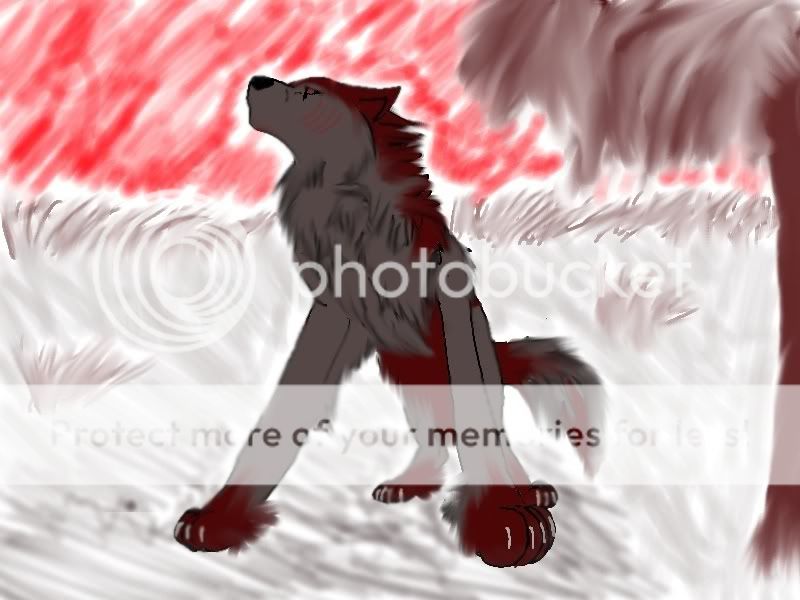 wolfy.jpg