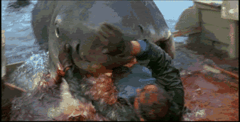 JAWS.gif