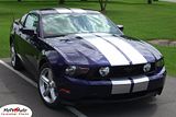 Ford MUSTANG Rally Racing Stripes Decals Graphics 2011  