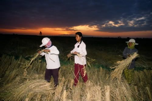 1Camboya-Gervasio-Sanchez.jpg picture by TrianaTubes