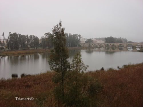 Badajoz-28-11-096.jpg picture by TrianaTubes