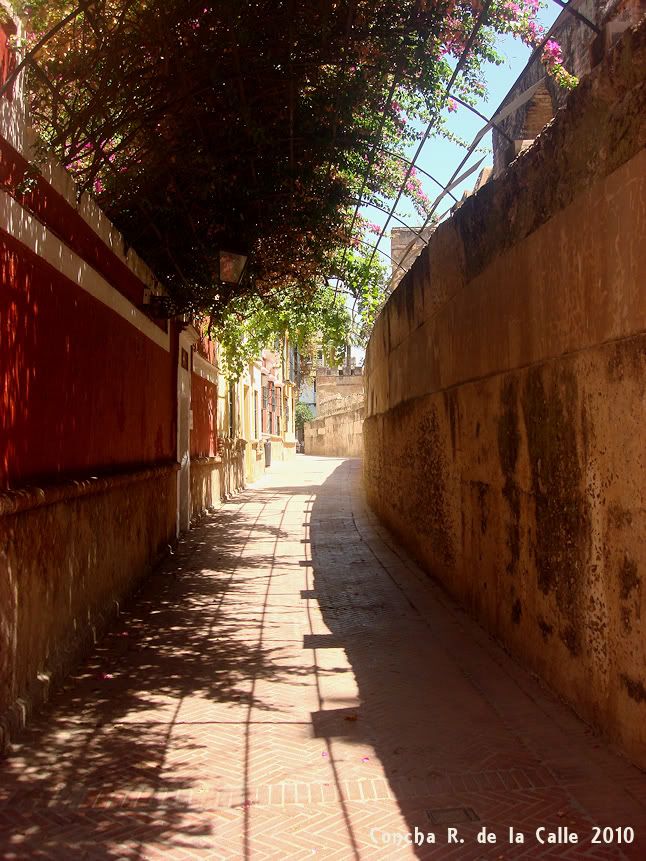Callejondelagua.jpg picture by TrianaTubes