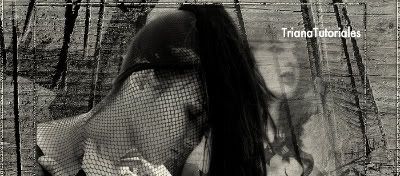 the_house_ofthe_raven-1.jpg picture by TrianaTubes