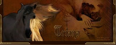 withe-horse-1.jpg picture by TrianaTubes